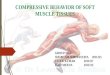 Compressive behavior of soft muscle tissues