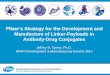 Pfizer's Strategy for the Development and Manufacture of Linker-Payloads in Antibody Drug Conjugates