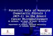 Potential Role of Monocyte Chemotactic Protein 1 (MCP-1) in the Breast Cancer Microenvironment