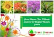 Green Heaven: Your Ultimate Stopover for Designer Nursery Garden