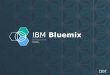 Bluemix the digital innovation platform for indonesia