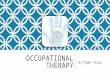 CPSY 224 Occupational Therapy Presentation 4.7.15
