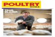 Poultry World Article September 2014