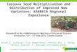 Cassava Seed Multiplication and Distribution of Improved New Varieties: ASARECA Regional Experience