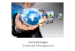 Entry strategies  - corporate management - Strategic Management - Manu Melwin Joy