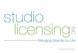 Studio Licensing 2015 Business Profile
