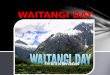 Waitangi day (1)