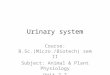 B.sc.(Micro+Biotech) II Animal & Plant Physiology Unit 2.2 Urinary System