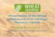A global research effort - the Wheat Initiative