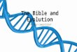The Bible and Evolution, Are They Compatible?