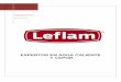Presentacion Leflam nueva v 1.1