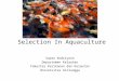 Selection in Aquaculture