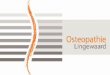 Logo Osteopathie Lingewaard