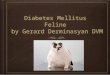 Feline diabetes mellitus