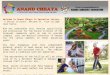 Anand chhaya webinar 08 06-15