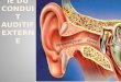 Chirurgie du conduit auditif externe