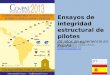 Los ensayos de integridad estructural de pilotes: 20 años de experiencia en España