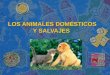 Los animales domésticos y salvajes