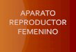 3ro aparato reproductor femenino