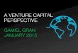 Venture capital   strategic view  jan 2015