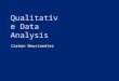 Qualitative data 2