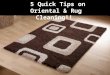 5 Quick Tips On Oriental & Rug Cleaning!!