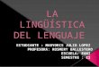 La lingüística del lenguaje