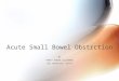 Acute small bowel obstrction new