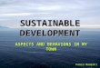 Sustainable development   paolo manenti