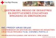CULTURA DE PREVENCION EN LAS INSTITUCIONES EDUCATIVAS