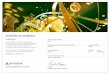 Autodesk Revit Certificates