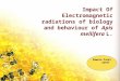 Impact Of Electromagnetic radiations of biology and behaviour of Apis mellifera L