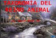 Taxonomía y características de los organismos del reino animal