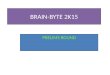 Brain byte 2 k15 prelims