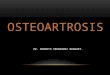 Osteoartrosis presentacion