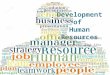 Report development of human resources hrm report grp4