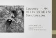 Cauvery mm hills CSR by Mr Vasanth Reddy