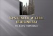 System of a cell (buisiness)