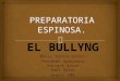 Proyecto tlr bullyng
