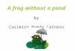 A frog whitout a pond
