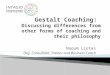 Gestalt Coaching Presentation for INTAGIO - Updated