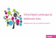 NetBooster Asia Intro_2015_06_16