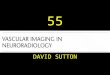 55 DAVID SUTTON PICTURES VASCULAR IMAGING IN NEURORADIOLOGY
