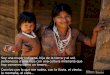 Carta de una mujer mapuche