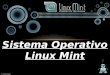 Linux mint  2 btp