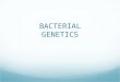 [Micro] bacterial genetics (12 jan)