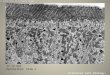 17.14 Cell Explorer Gut Epithelium- View 1