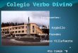 Colegio verbo divino