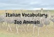 Italian Vocabulary Words: Zoo Animals