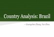 BUAD 417-Country Analysis-Brazil